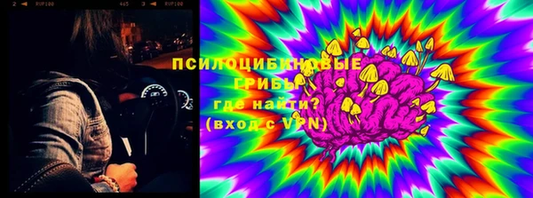 винт Арсеньев