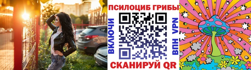 дарнет шоп Мариинский Посад Псилоцибиновые грибы мицелий
